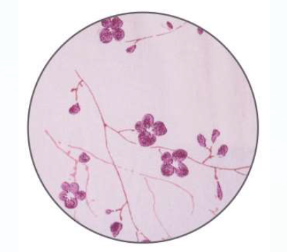 [25.21625] Grenouillère - Molène - coton - Alga - Taille 50/52 - manches et jambes longues - Col rond