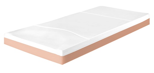 [1250.AB.38] [VMA63RC-CIC] Matelas à prévention d'escarre - Alova VMA63 - en mousse visco-élastique - 196x87x14cm - Risque d'escarres élevé - avec housse Promust CIC - roulé et compressé - par Box de 5 unités
